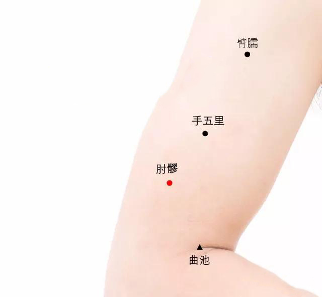 【穴位查找】肘髎穴